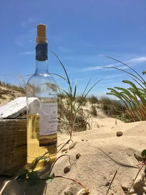 Boissons dans l'établissement Vue Phare - Au Coeur de Contis Plage