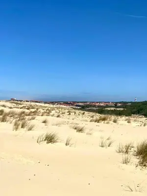 Paysage naturel près de l'appartement