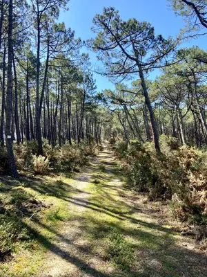 Paysage naturel près de l'appartement