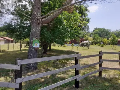 Jardin de l'établissement Chez danielle et guy