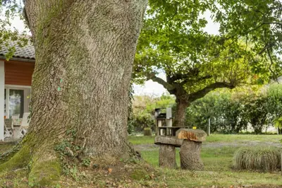 Jardin de l'établissement L'atelier