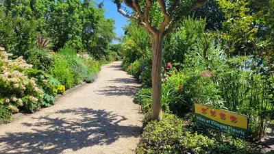 Jardin de l'établissement Le resinier