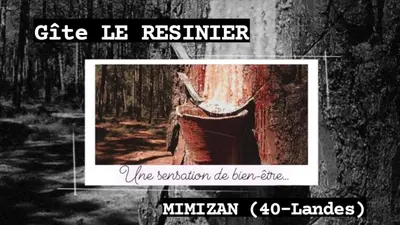 Plan de l'établissement Le resinier