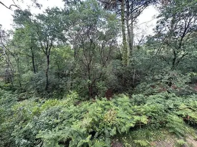 Paysage naturel près de la maison de vacances