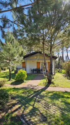 Jardin de l'établissement Chalet paisible à la plage, piscine et tennis