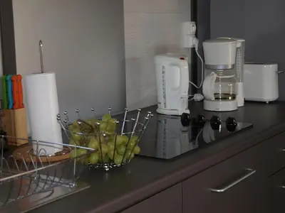 Cuisine ou kitchenette dans l'établissement La carpe