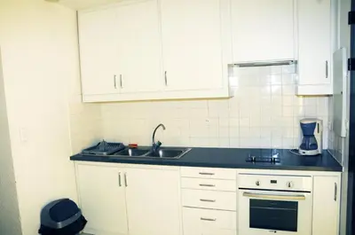 Cuisine ou kitchenette dans l'établissement Mimosas