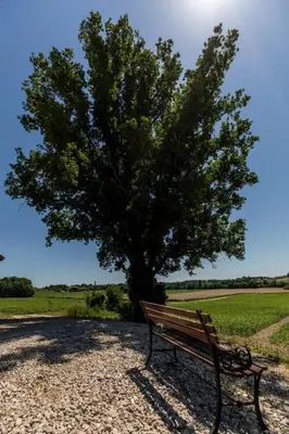 Paysage naturel près de la maison de vacances