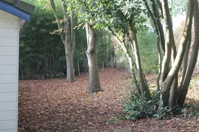 Jardin de l'établissement Les bambous