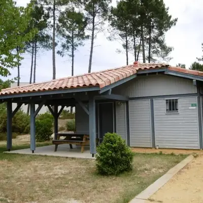 Les ajoncs