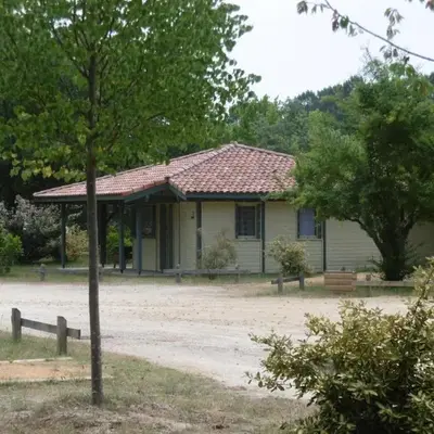 La bardane