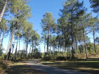 Paysage naturel près de la maison de vacances