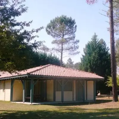 La molinie