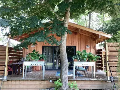 Jardin de l'établissement Le chalet Hosta