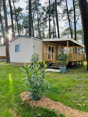 Jardin de l'établissement MH G21 - Camping Oyats Seignosse
