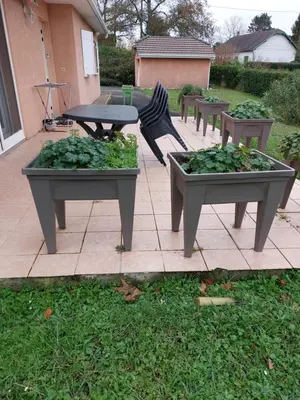 Jardin de l'établissement Grande maison sur 2000m° de terrain