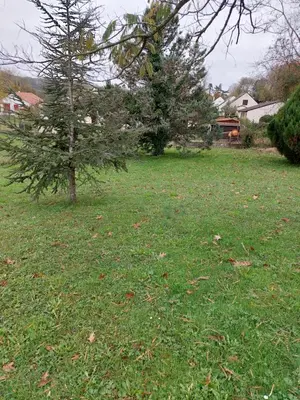 Jardin de l'établissement Grande maison sur 2000m° de terrain