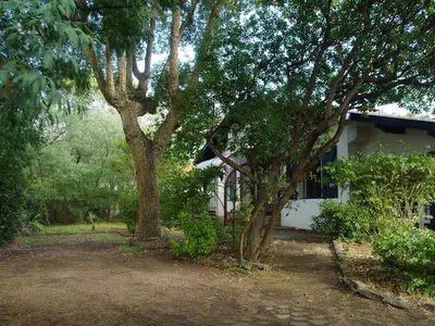 Jardin de l'établissement Grande maison landaise près du port de Capbreton, 4 chambres, jardin, animaux admis - FR-1-413-232