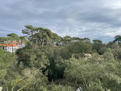 Paysage naturel près de l'appartement