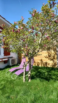 Jardin de l'établissement Maison Du Lac.
