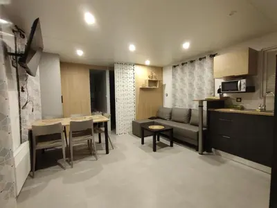 Cuisine ou kitchenette dans l'établissement Mobile home à Mimizan géré par un particulier