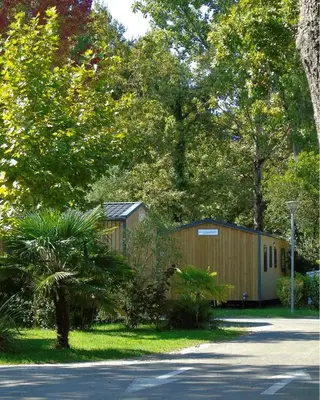 Jardin de l'établissement Mobil-home Premium Mayotte - 3 Ch - 2 sdb