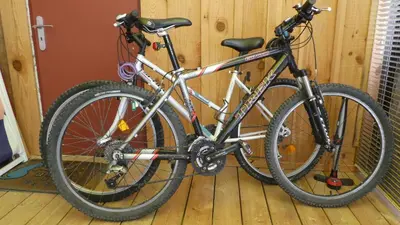 Vélo sur le terrain de l'établissement T2 au calme avec terrasse sur le bassin d'Arcachon ou dans les environs