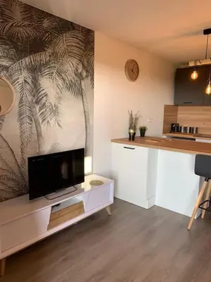 Télévision ou salle de divertissement dans l'établissement Appartement entièrement rénové avec vue sur océan