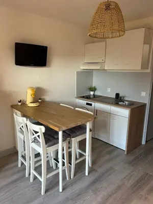Cuisine ou kitchenette dans l'établissement BISCAROSSE PLAGE STUDIO TERASSE BARBECUE À 150 m DE LA PLAGE