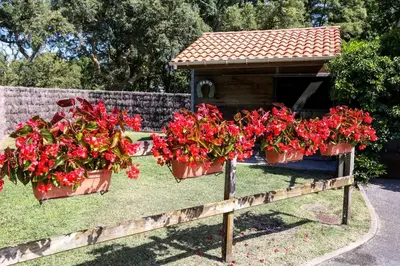 Jardin de l'établissement Villa avec piscine à proximité des plages et de la forêt