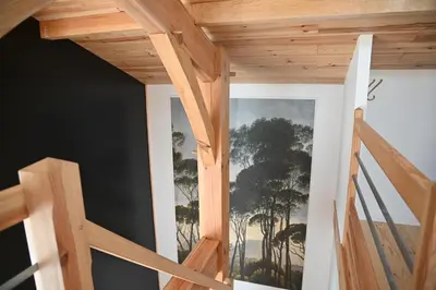 Plan de l'établissement Pinéa Lodge - Chalet Authentique en Pin des Landes