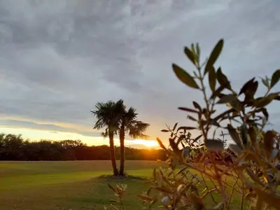 Lever ou coucher de soleil vu de la maison de vacances ou à proximité