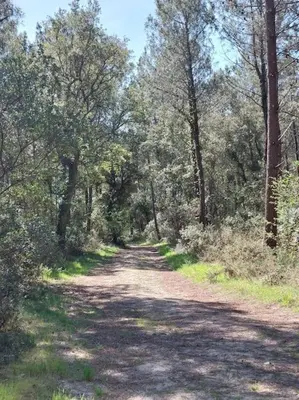 Paysage naturel près de la maison de vacances