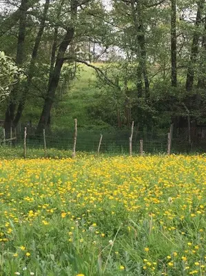 Paysage naturel près de la maison de vacances