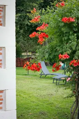 Jardin de l'établissement Maison familiale proche du lac