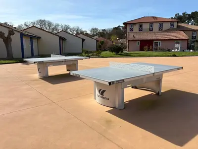 Tennis de table au sein de l'établissement *Jolie maison proche plage et lac marin, avec piscine, tennis à Soustons Plage* ou à proximité