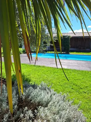 Piscine de l'établissement Le spot Landais - Chambre côté forêt ou située à proximité