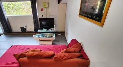 Télévision ou salle de divertissement dans l'établissement Le studio rustique du Bassin