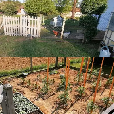 Jardin de l'établissement Location maison avec piscine pour 6 personnes