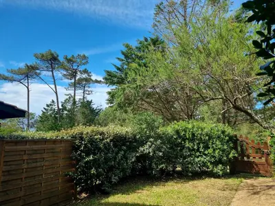 Jardin de l'établissement Villa à Seignosse: Plage à pied, Terrasse, 3 Chambres, Quartier calme - FR-1-239-1036