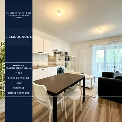 Cuisine ou kitchenette dans l'établissement L'Émeraude - Proche Hôpital - Parking - Clim - Fibre - Terrasse