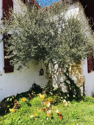 Jardin de l'établissement Gîte 2 à 5 personnes au coeur de la Nature