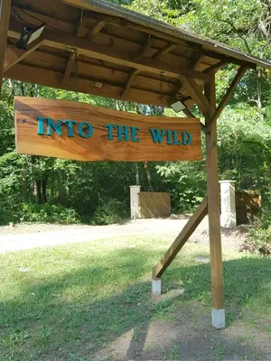 Plan de l'établissement INTO THE WILD - Nos 5 logements 