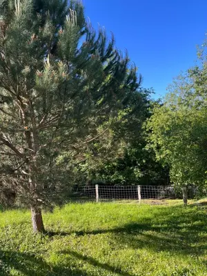 Jardin de l'établissement Maison calme IHESA