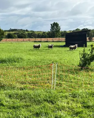 Jardin de l'établissement L’Instant