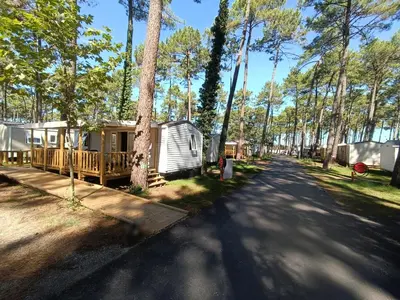 Paysage naturel près de le camping