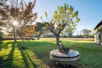 Jardin de l'établissement Maison landaise avec jardin clos, idéal pour animaux