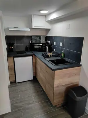 Cuisine ou kitchenette dans l'établissement Studio proche centre-ville