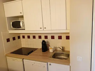 Cuisine ou kitchenette dans l'établissement Appartement LE DAOUN Dunes, Pins Océan et Golf