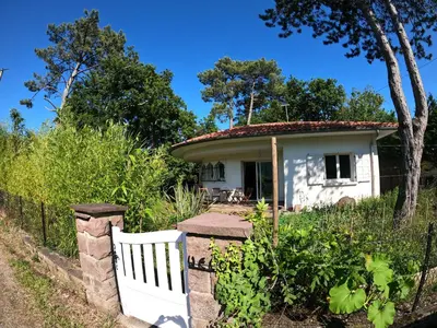 Jardin de l'établissement Surfhouse a proximité des spots de surf